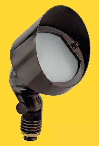 Corona Lighting Brass Large Oval Wall Wash MR-16