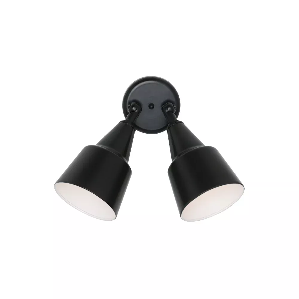 Generation Lighting Two Light Adjustable Swivel Floodlight (8607-12)