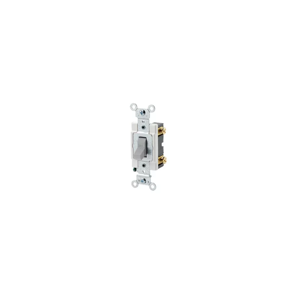 Leviton CSB1-20G Switch