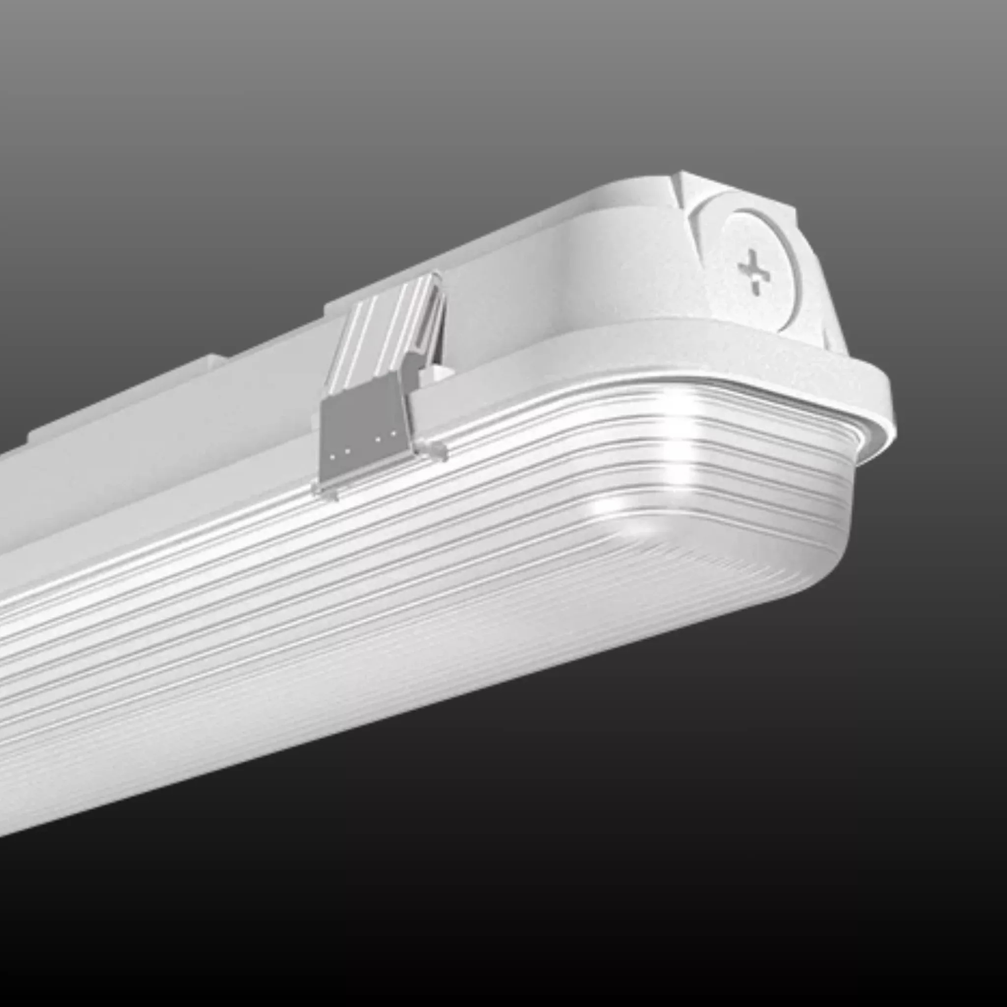 RAB SEAL8/E Field-Adjustable, Linear Washdown Vapor Tight — 100/80/60W Selectable — 3500K/4000K/5000K